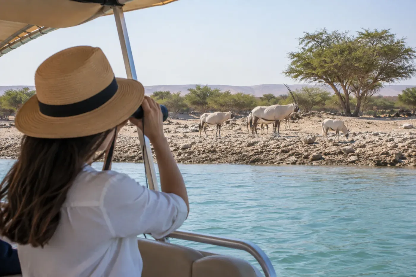 Sir Bani Yas Island Boat Safari