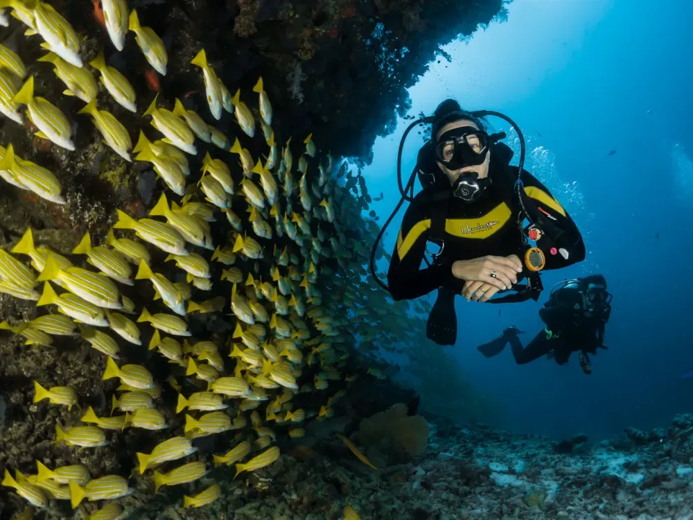 Diving & Snorkeling — representative stock photo