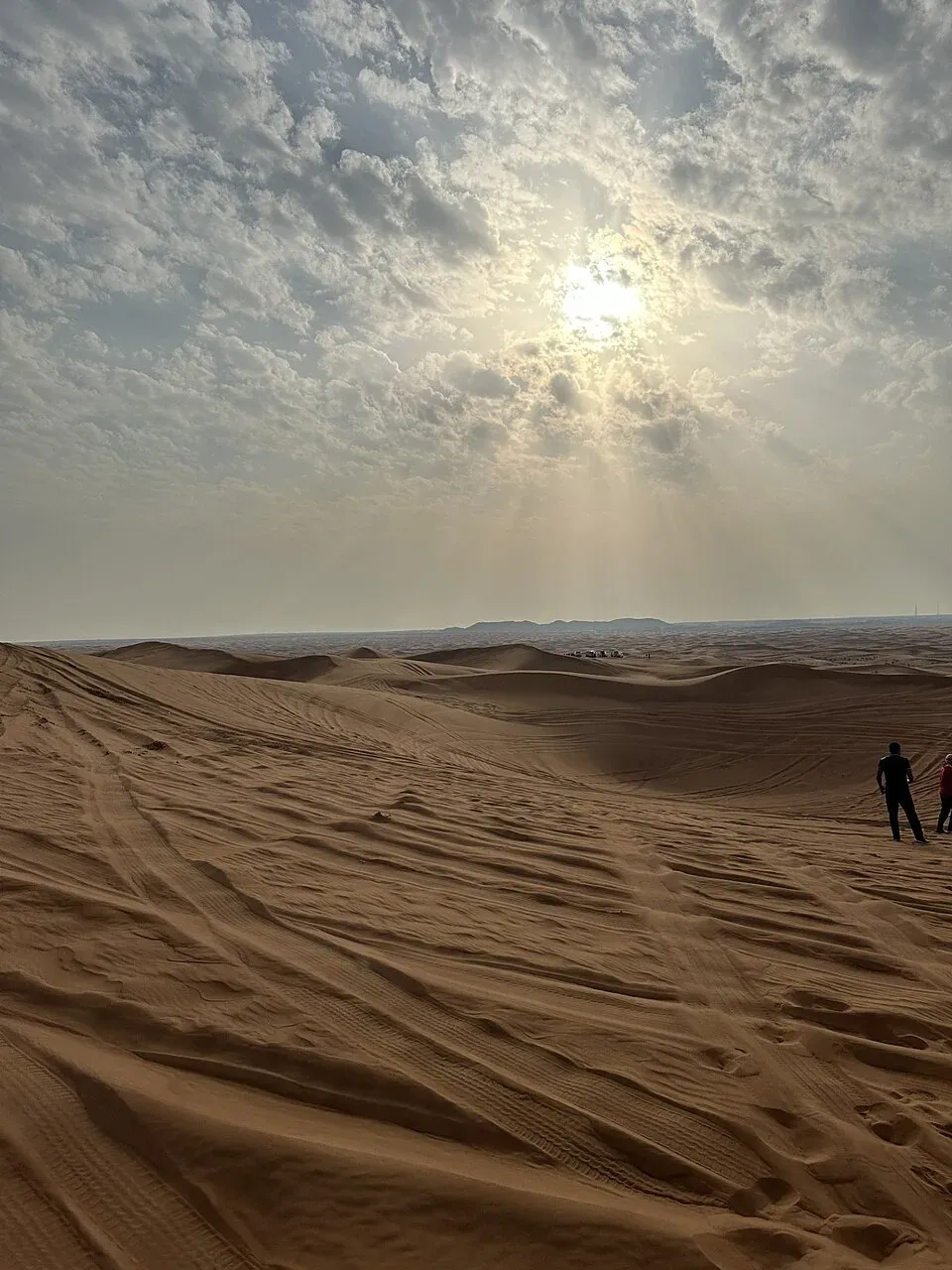 Dubai Desert Conservation Reserve Dubai