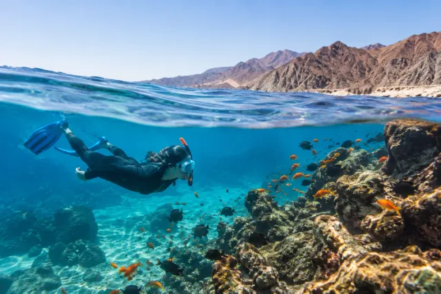 Fujairah Diving & Snorkeling