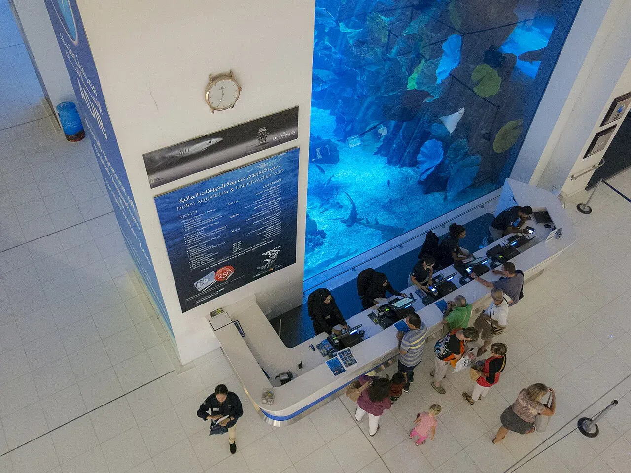 Tours & Experiences in Dubai