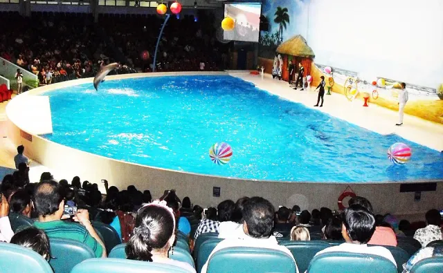 Dubai Dolphinarium Dubai
