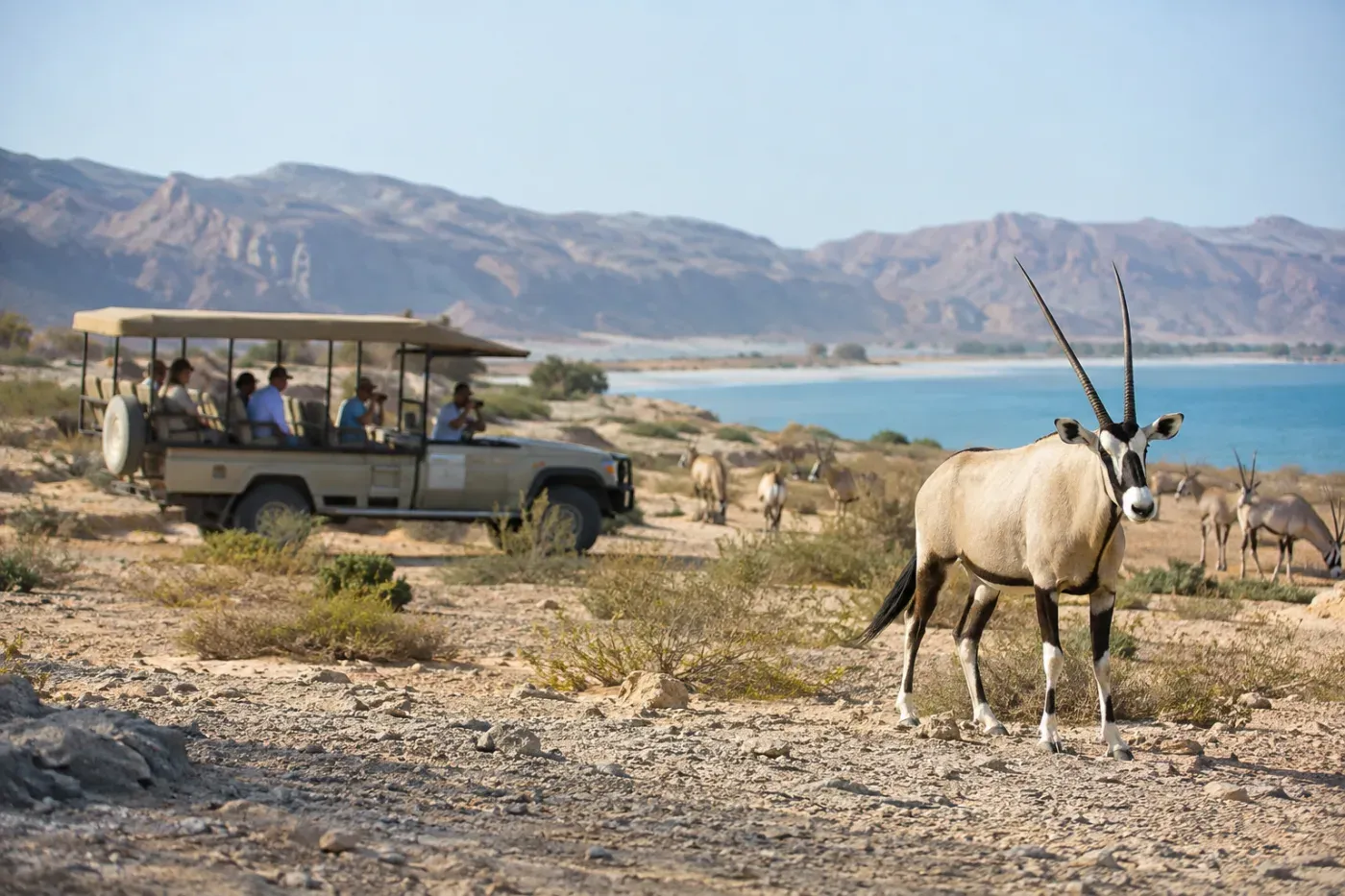 Abu Dhabi to Sir Bani Yas Island