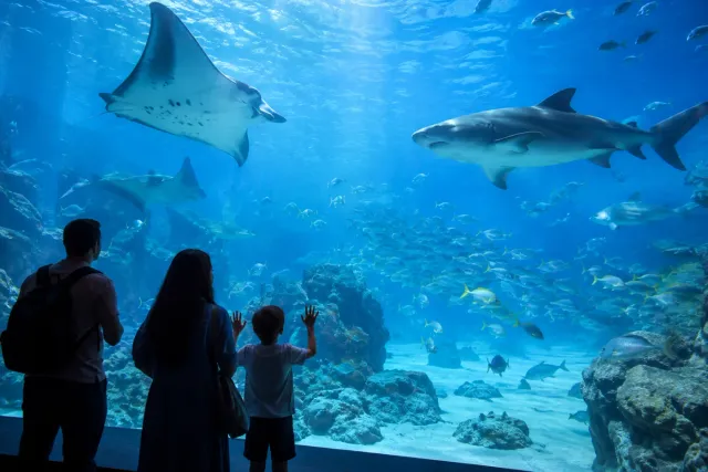 SeaWorld Abu Dhabi